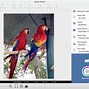 Image result for Printer with Seperate 4X6 Photo Tray