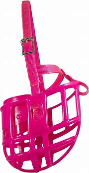 Image result for Plastic Dog Muzzle