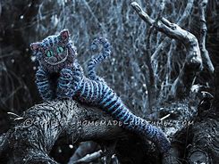 Image result for Tim Burton Cheshire Cat Real Life