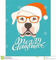 Image result for Happy New Year Dog Pictures
