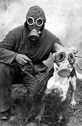 Image result for WW1 Animal Gas Mask