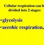 Image result for Cellular Meaning