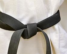 Image result for Hapkido Belt