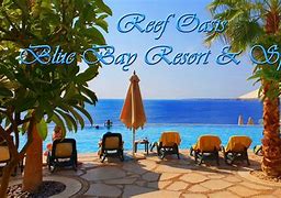 Image result for Blue Sea Oasis