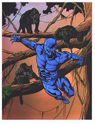 Image result for Black Panther Coloring Pages