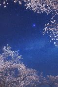 Image result for Cherry Blossom Galaxy