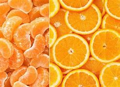 Image result for What Is the Difference Between Fruits and Veg