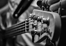Image result for Bass Guitar From the Band Tool