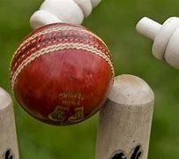 Image result for Cricket Wicket Stumps