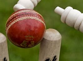 Image result for Cricket Ball Text