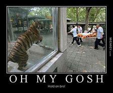 Image result for Tiger Ear Meme