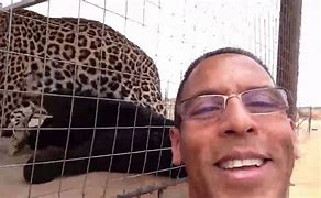 Image result for Leopard Mules