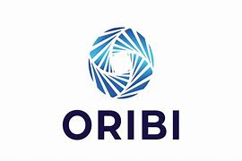 Image result for Oribi Construction Logo