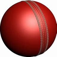 Image result for Cricket Pitch PNG