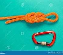 Image result for Stainless Steel Carabiner Clip