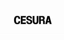 Image result for cesura