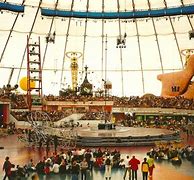 Image result for Millennium Dome Inside
