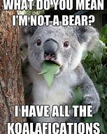 Image result for Baby Koala Meme