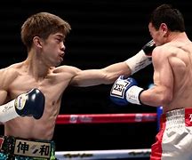 Image result for Boxing Fighters