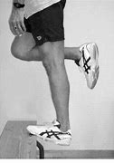 Image result for Eccentric Calf Exercises