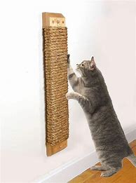 Image result for cat scratcher