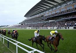 Image result for Horse Racing Clubs Signage