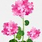 Image result for Flower Pot Clip Art
