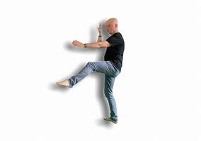 Image result for Basic Tai Chi Poses