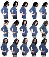 Image result for 2 Weeks Pregnant Bump
