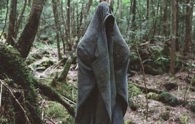 Image result for Death Forest in Japan