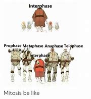Image result for Kobold Mitosis Meme