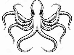 Image result for Octopus Clip Art Free Black and White