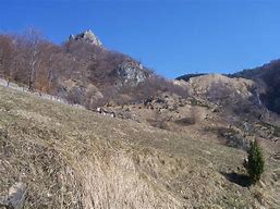 Image result for Kanjon Tresnjice Beloglavi SUP