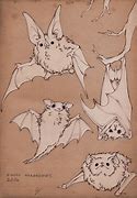 Image result for Vampire Bat Art