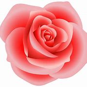 Image result for Rose Logo Clip Art