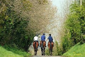 Image result for Person Riding Horse