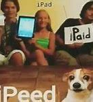 Image result for Ipeed Meme