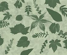 Image result for Leaves Brush Photoshop
