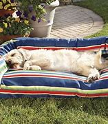 Image result for Best Outdoor Dog Bed