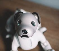 Image result for Sony Aibo Dino