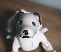 Image result for What Is Aibo