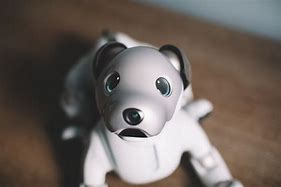 Image result for Aibo Feature