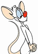 Image result for Pinky and the Brain Stop Monday Meme
