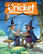 Image result for Backspin Cricket Magazine