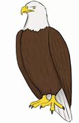 Image result for Simple Eagle Drawing