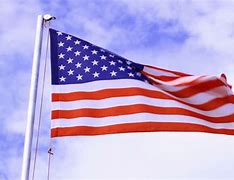 Image result for American Flag in the Wind