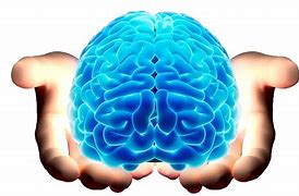 Image result for Brain White Background