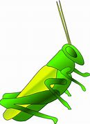 Image result for Cricket Cartoon Character
