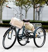 Image result for Adult Tricycle with Basket