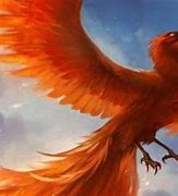 Image result for Ave Fenix Mitologia